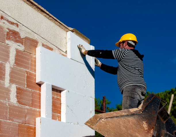 Best Residential Insulation in South Lyon, MI